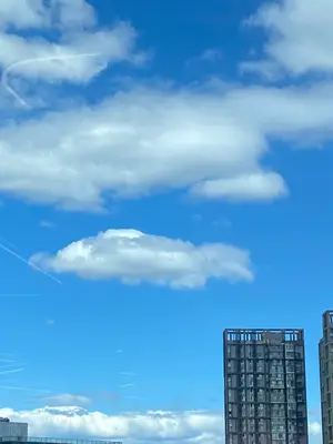 用户展示